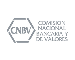 cnvb comision nacional bancaria y de valore