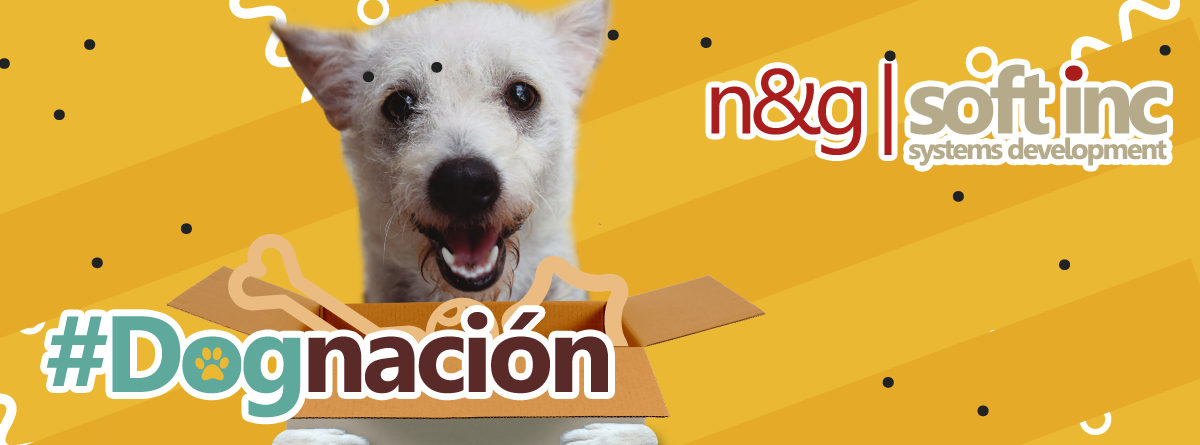 N&G Soft Inc y su #Dognacion para perritos rescatados y en adopción